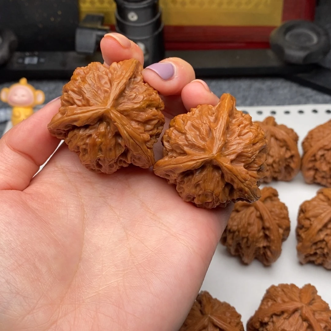 新***游白狮子111111