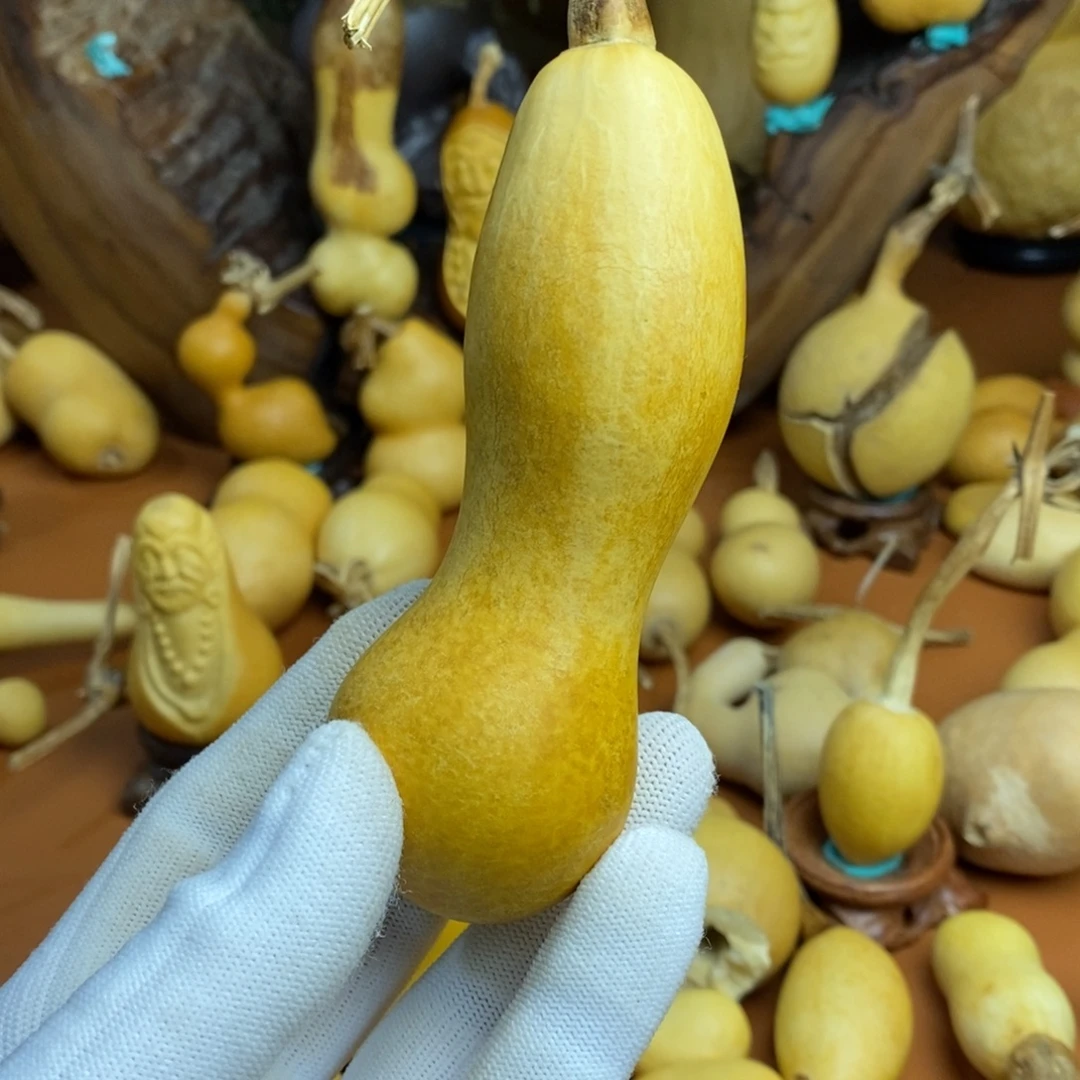 永***哥距离路途教练咯哭