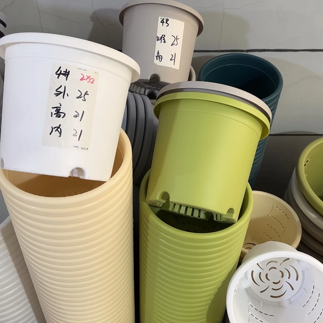 微瑕4号8个无托，果绿