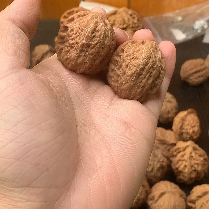 边34铁棍 小黄尖大眼睛