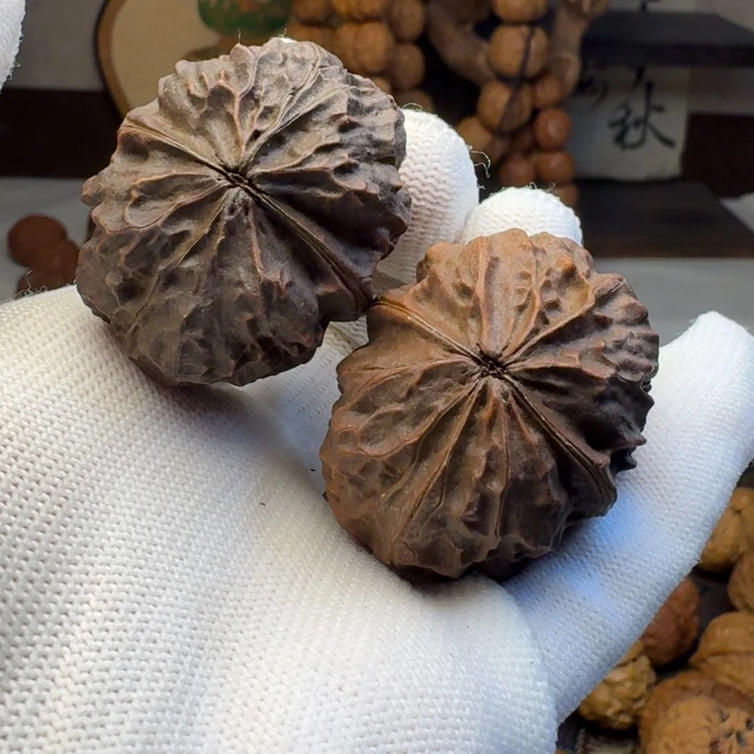 文玩核桃把件紫金甲壳虫39.5 天然七彩