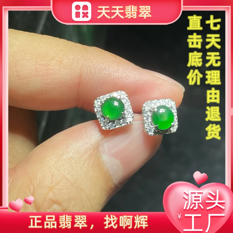 天然翡翠A货 阳绿银镶S925蛋面爆款耳钉