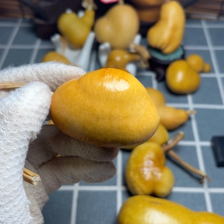 奋***斗76666666666666666