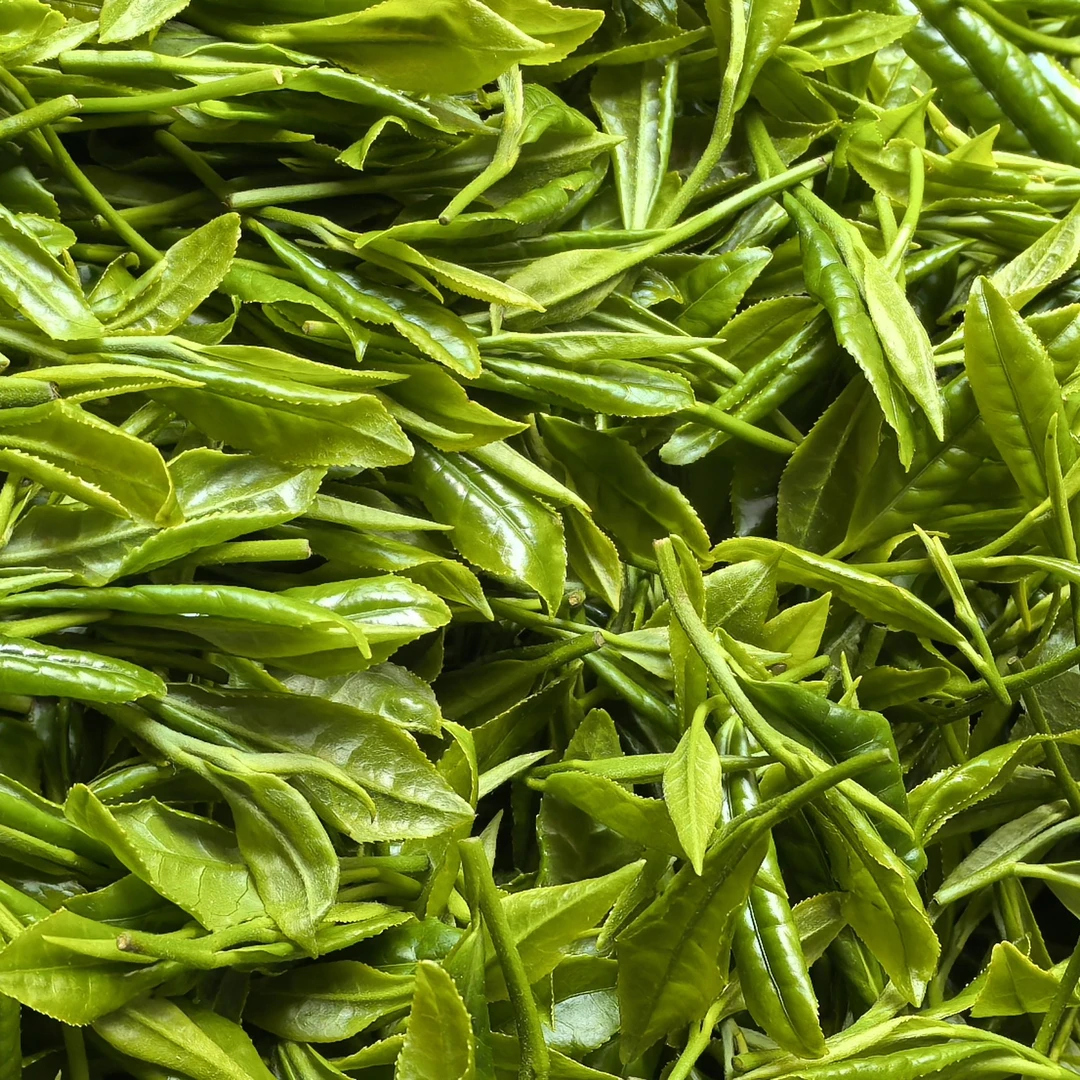 梅姑岭自产溇水猴魁茶叶绿茶上等好茶