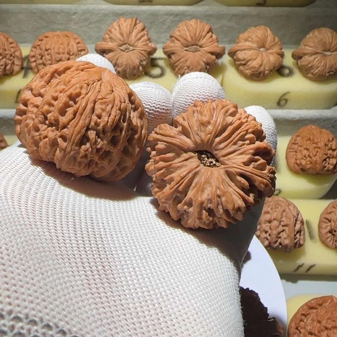 文玩核桃把件2号43涿鹿凹底球将