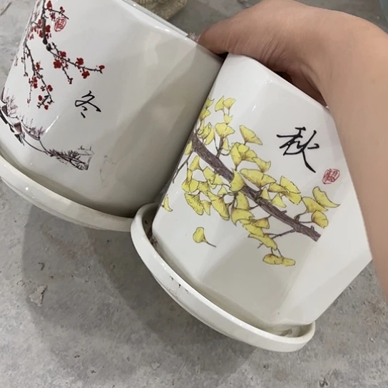 多肉绿植陶瓷花盆9.9包邮，有孔