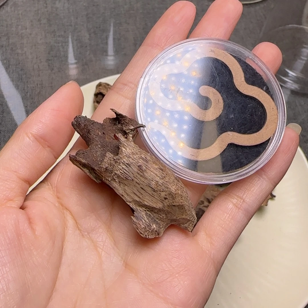 海南老房梁料2.3克