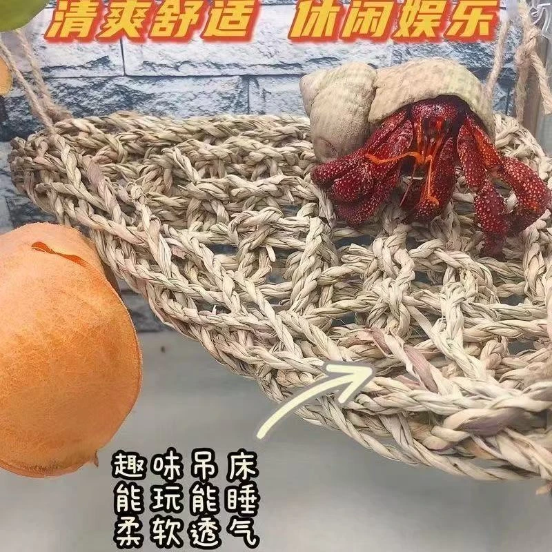 寄居蟹专用吊床攀爬造景用品仿真攀爬架子宠物吸盘晒背吊床造景
