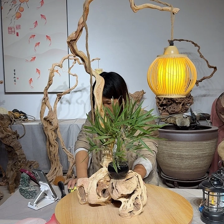 濡***君杜鹃根艺术中心根