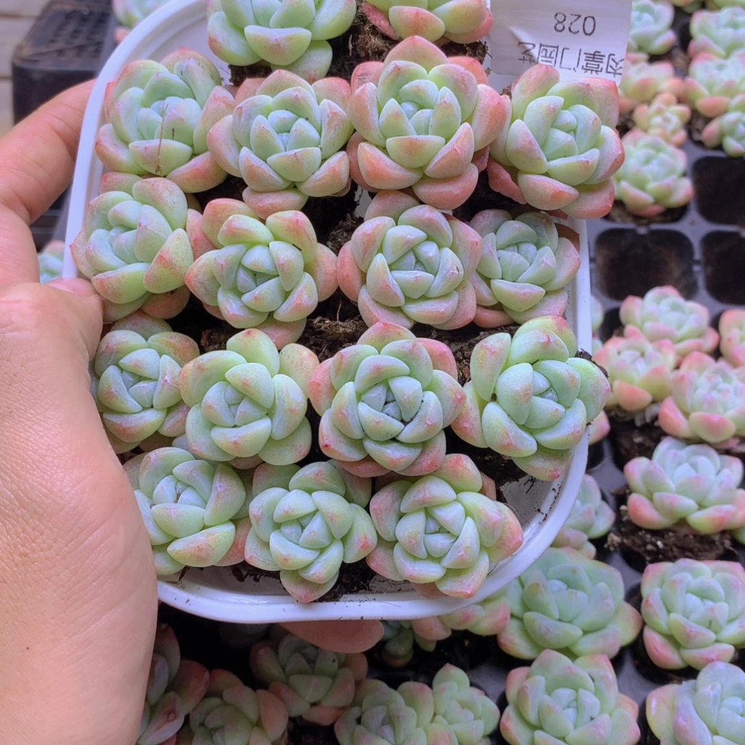去了给你打电话吧我在028
