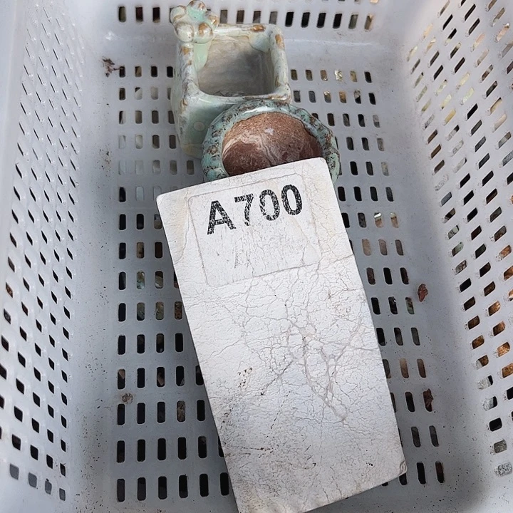 ?****…700密密麻麻买买买