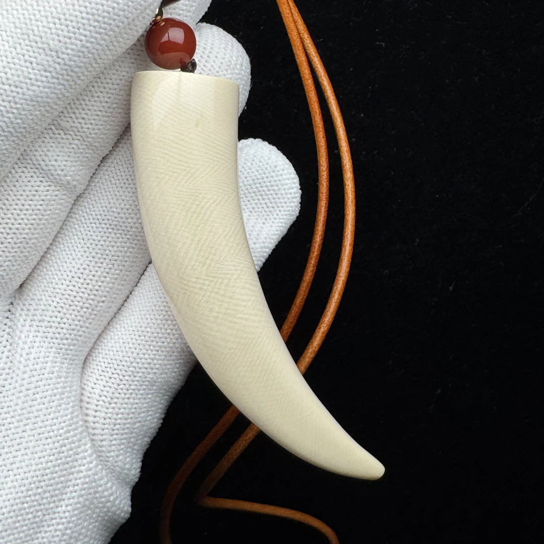 L3293天然猛犸牙牙尖80mm 支持鉴定 假一罚四