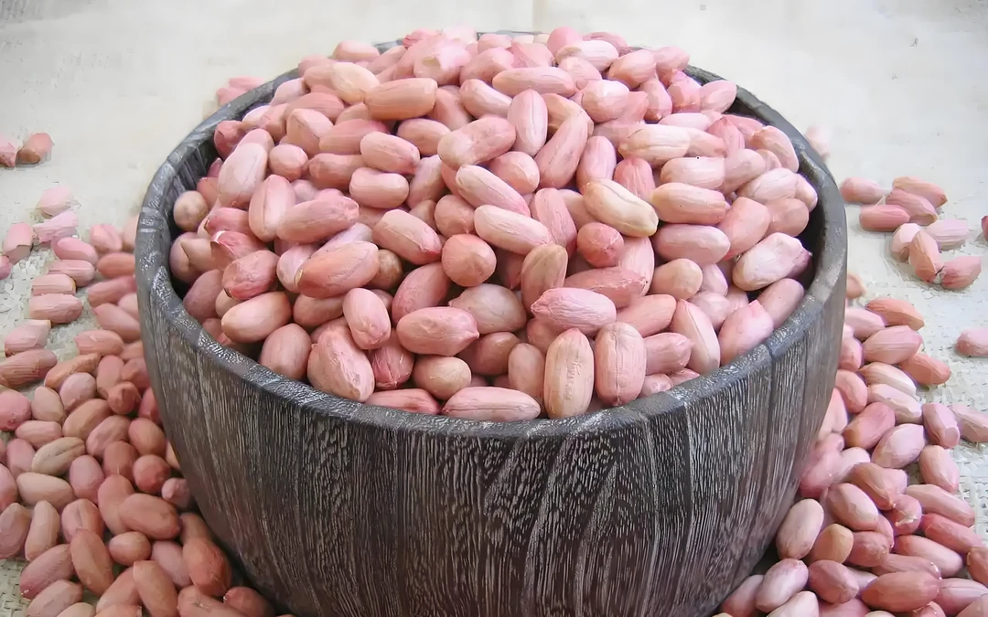 豫东沙土地新鲜剥壳大大粒花生米农家自种鲜花生原汁原味生花生