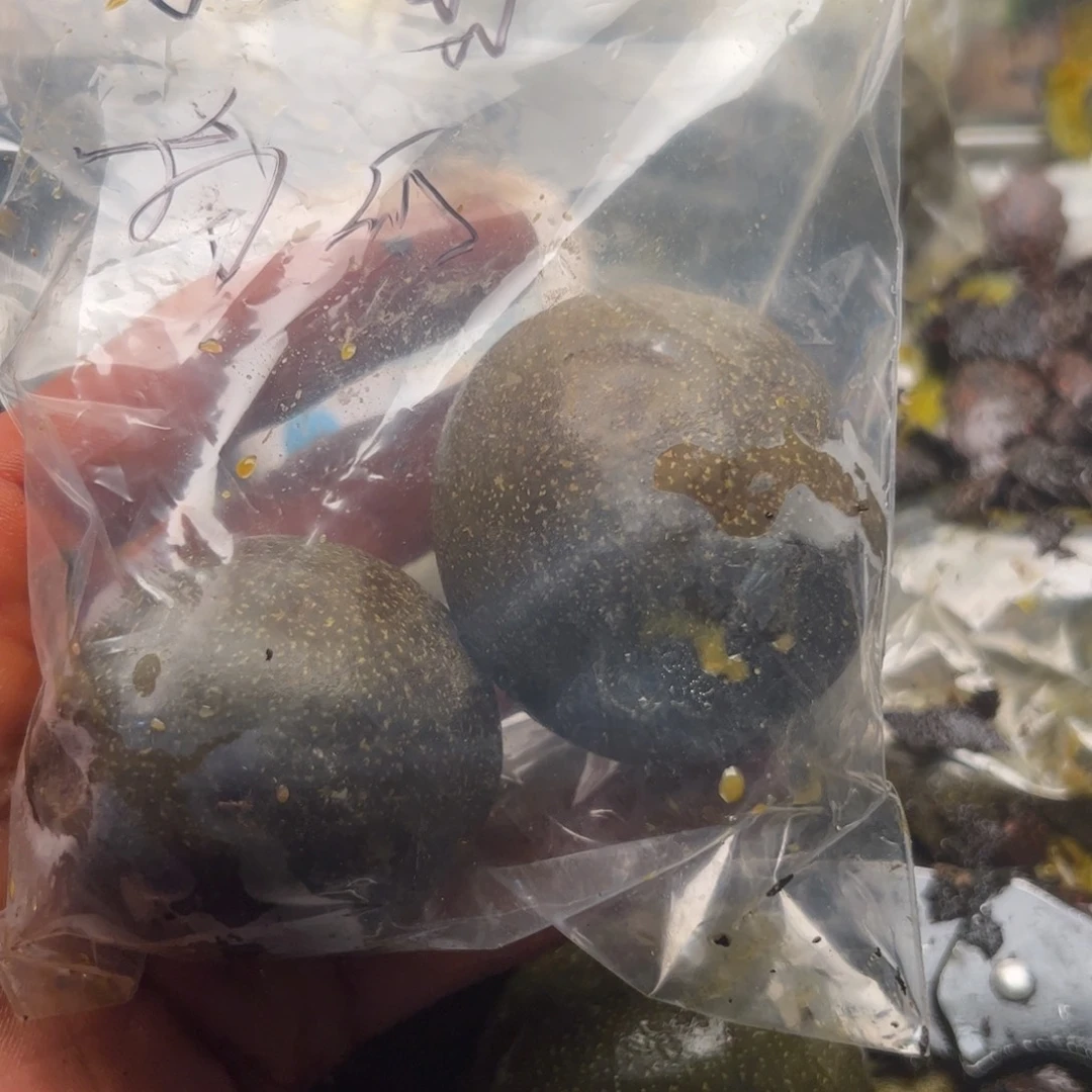 一***丝刚回家看扭扭捏捏快坎坎坷坷