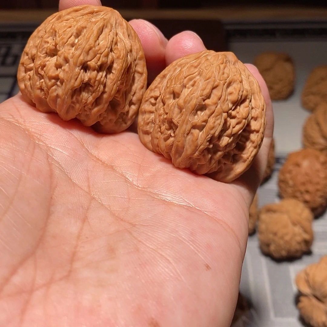 文玩核桃把件040密纹