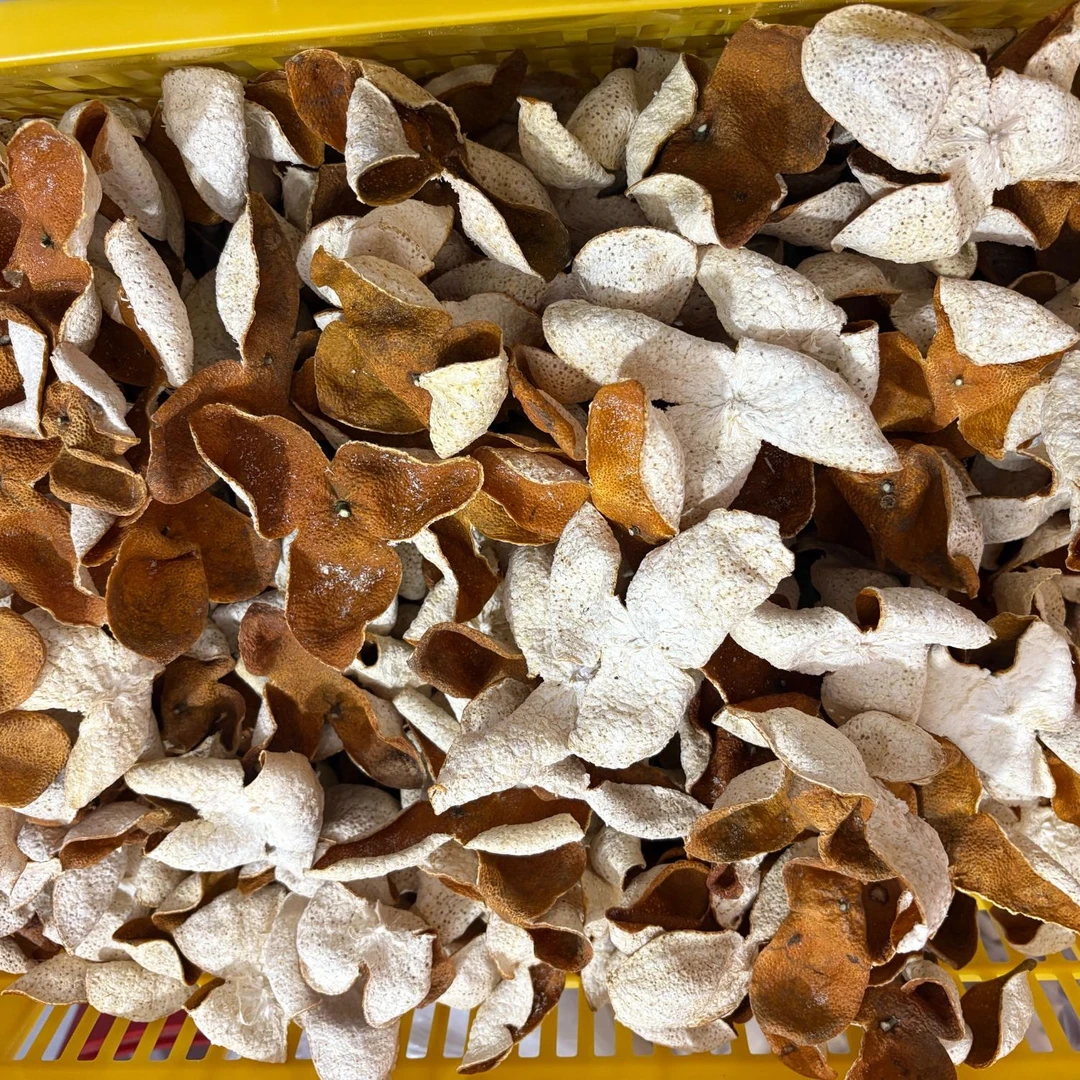 2024年采摘老树18+大红皮（统货整皮）福利款 福利款 福利款