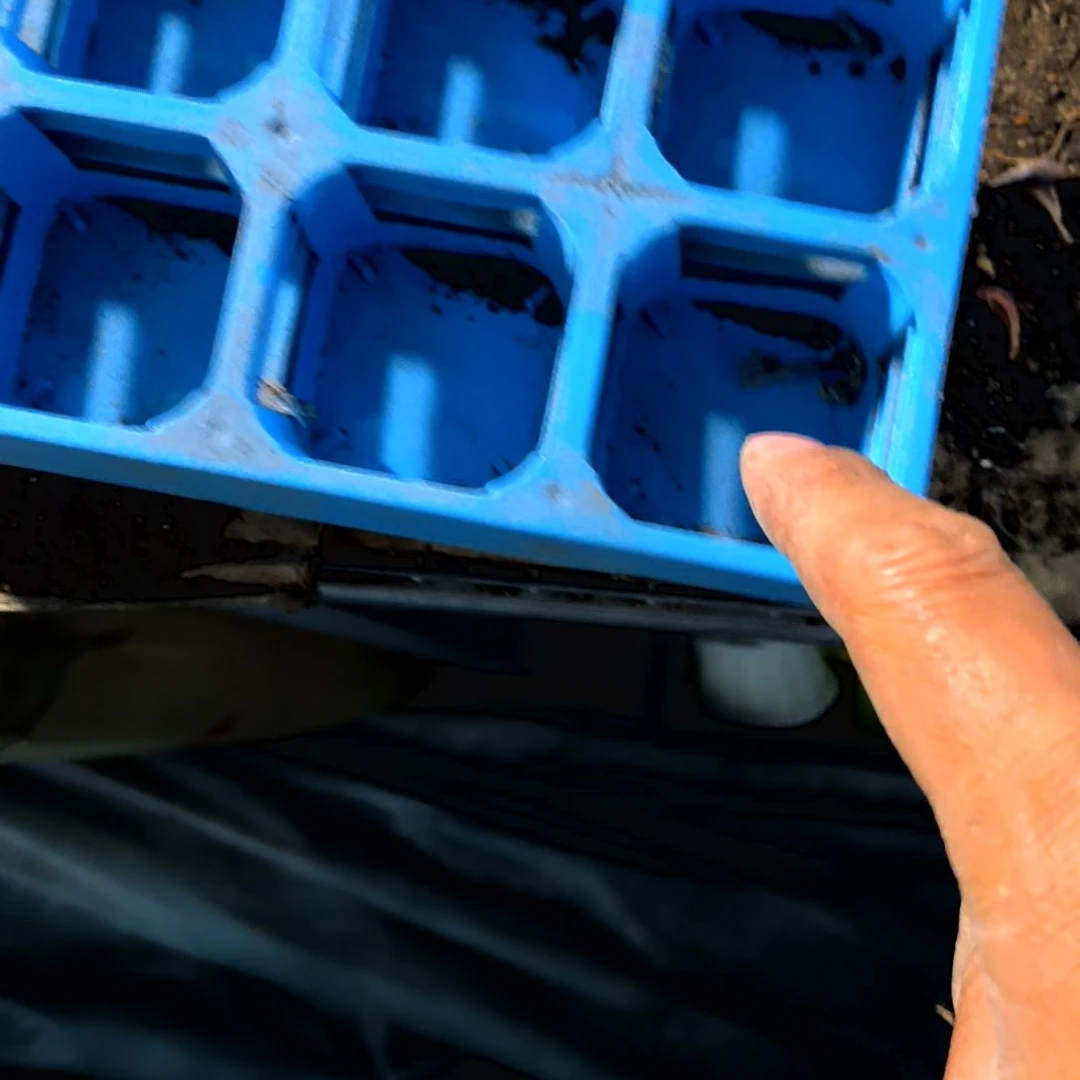 满9元包邮，蓝色托架