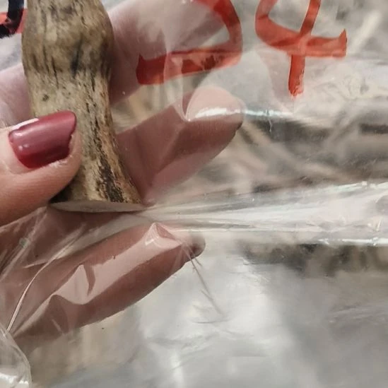 熊****大理石磁石鹿角鹿角鹿角鹿角鹿角鹿角