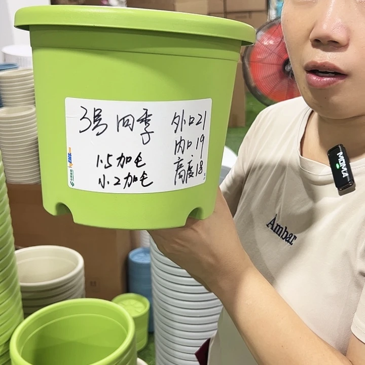 特价3号四季盆口21高18混色无托10只