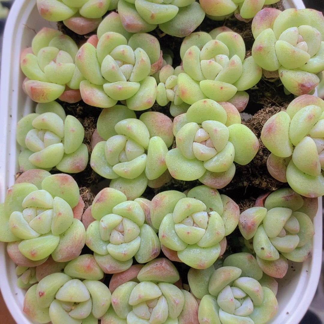 我要睡觉了哦晚安啦晚安啦021