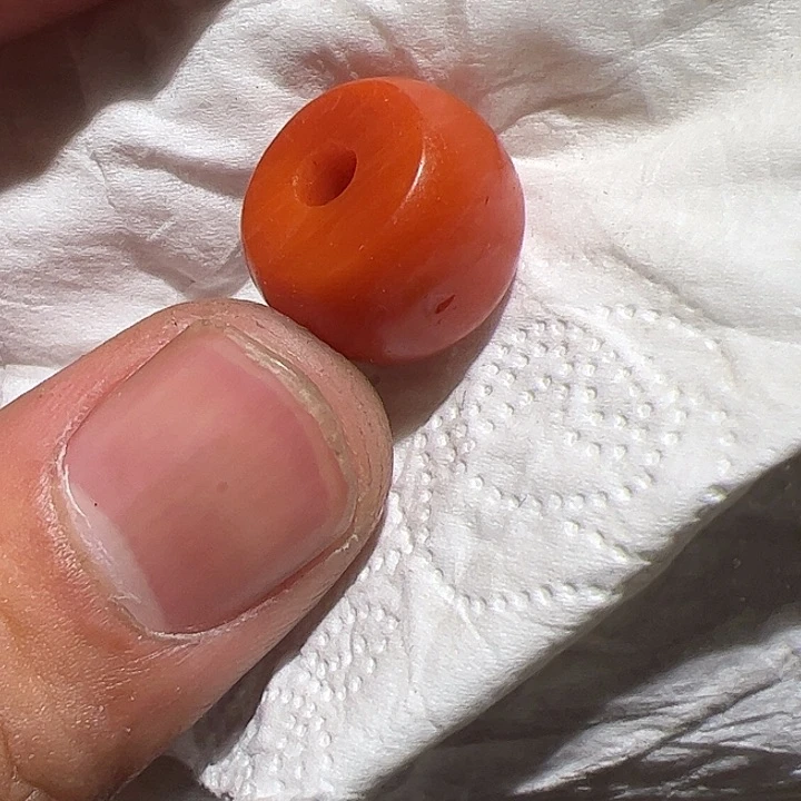 香榧木在这里的时候