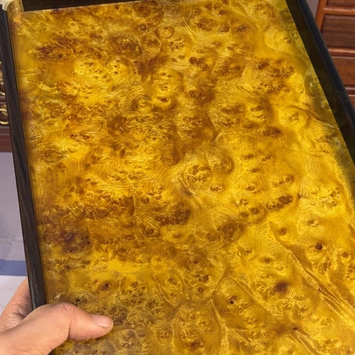 木黄金樟留疤超大托盘