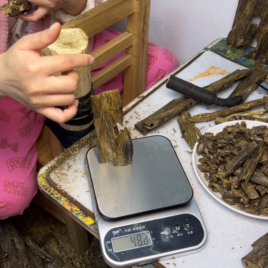 线香奇楠虫漏香48克