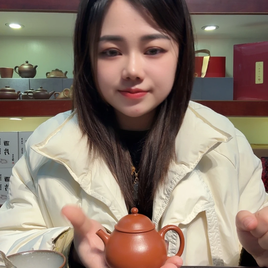 紫砂茶壶紫砂壶朱