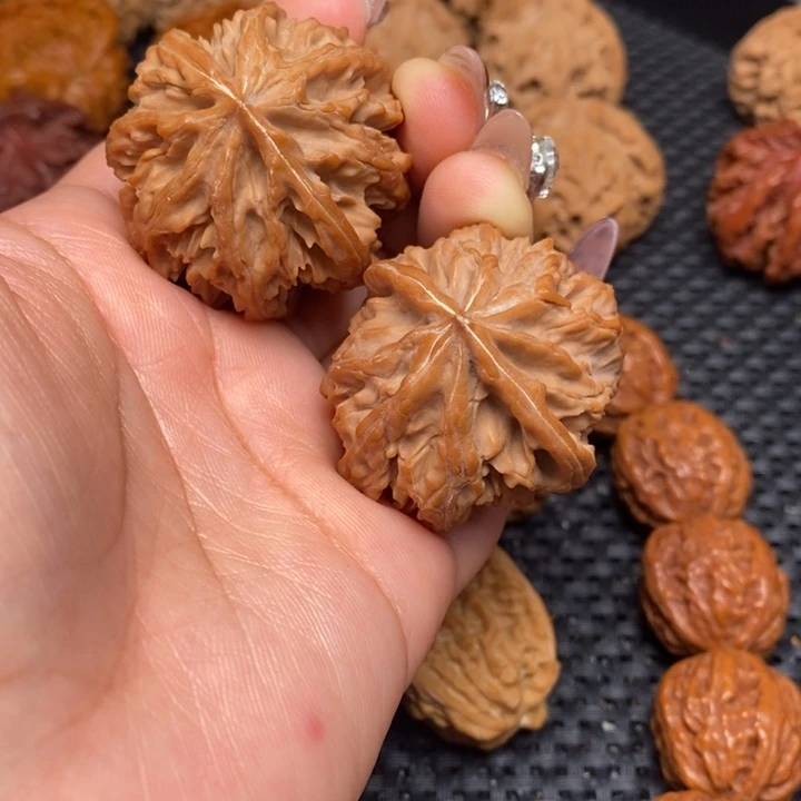 秦岭野生0000000007