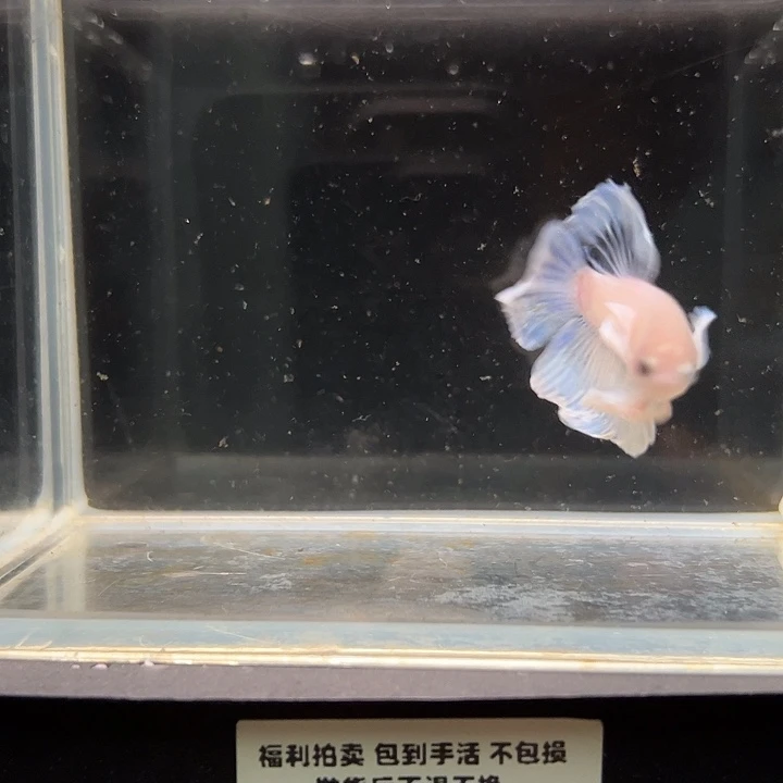 斗鱼满30包邮1日31