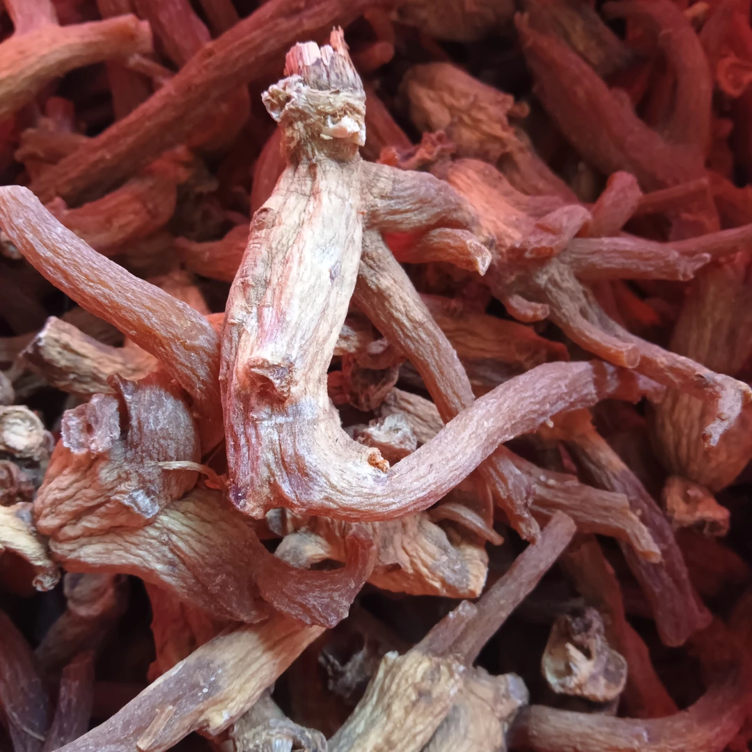 云乡土特产 【龙爪参】云南干货