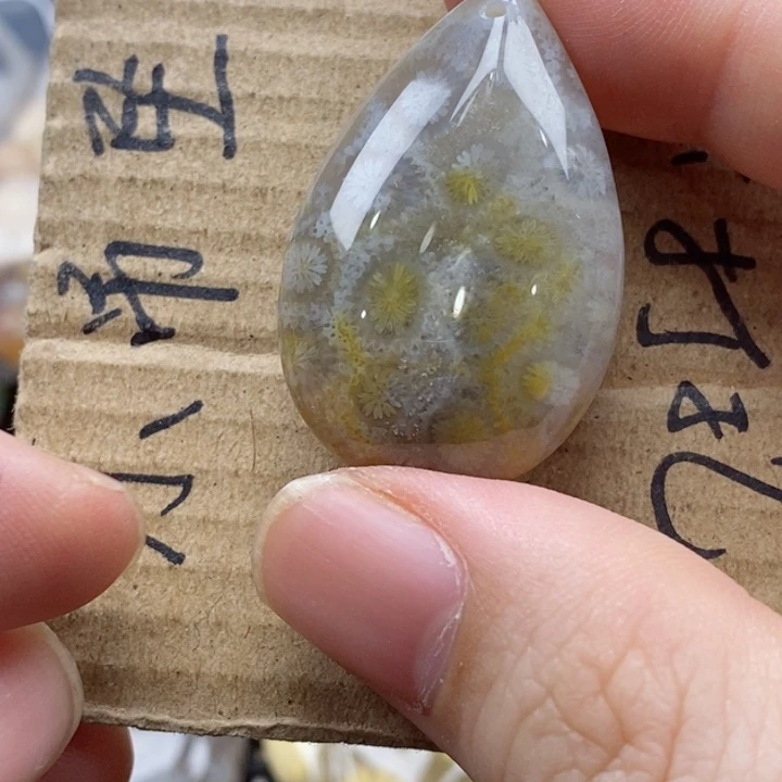 硅化珊瑚（珊瑚玉）颈饰未镶嵌꧁***꧂