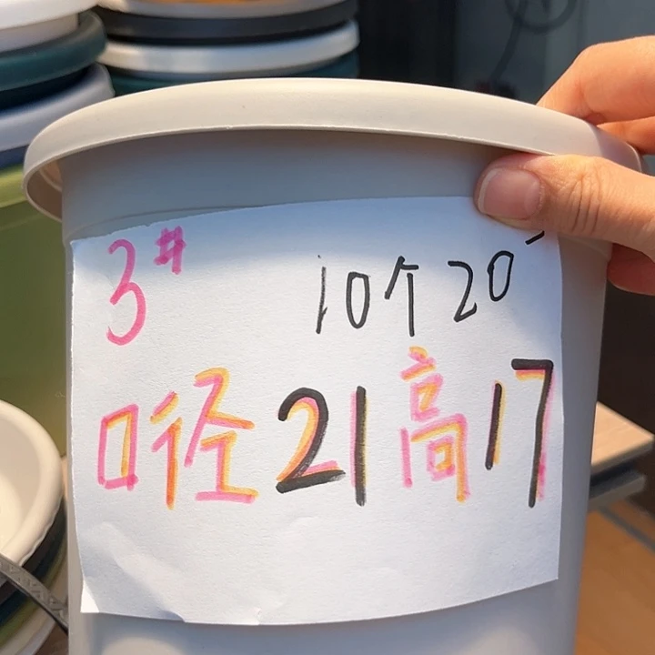 树脂四季盆3号灰白10个，带托