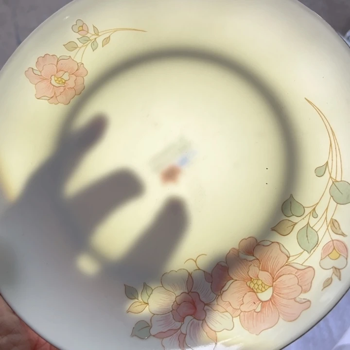 杯八寸高岭土两个红叶