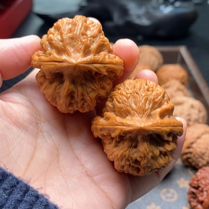 桃核把件红锦鲤41尺