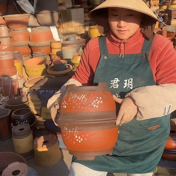 紫砂花盆盆栽花卉苗木种植