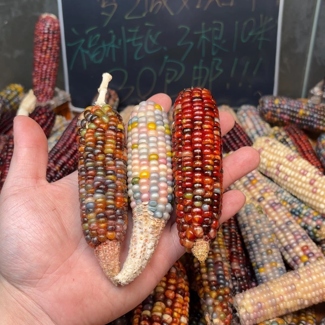 柏香籽/百香籽吊坠小*?