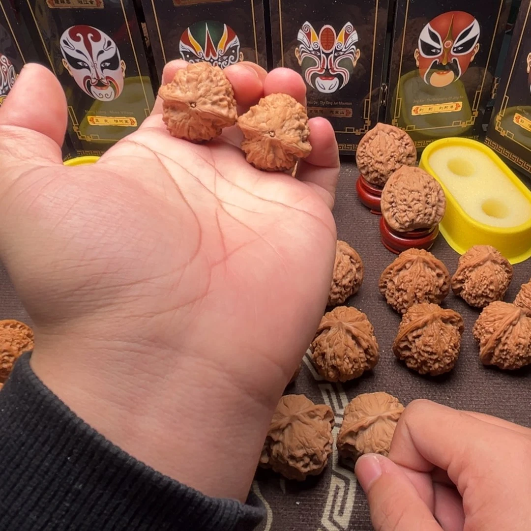 核桃小金鱼111111