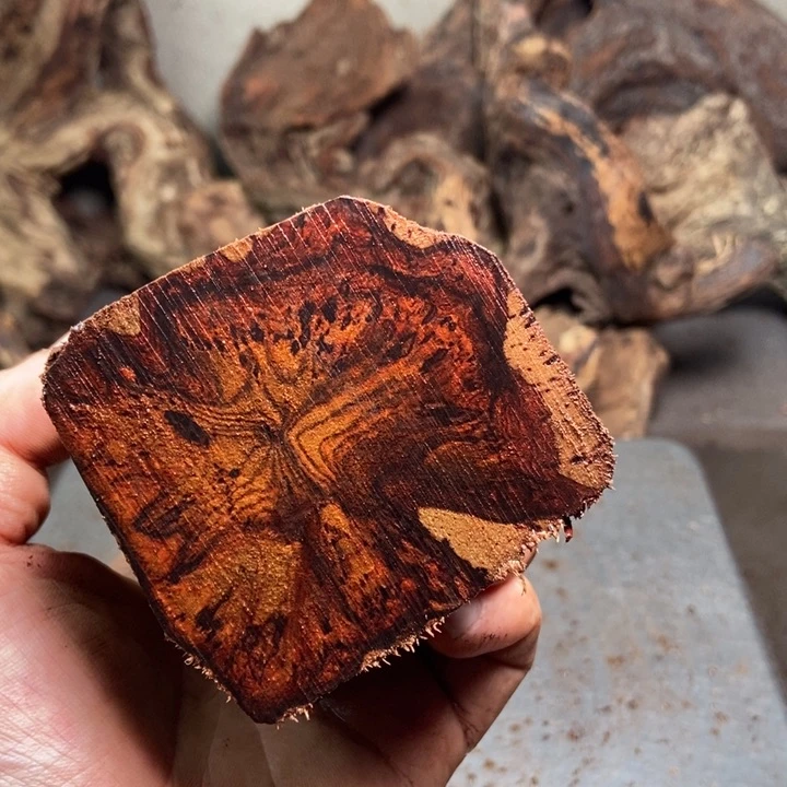 黄花梨/降香黄檀飞*