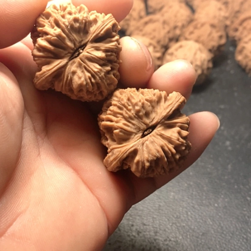 【闪购商品】护****网南疆