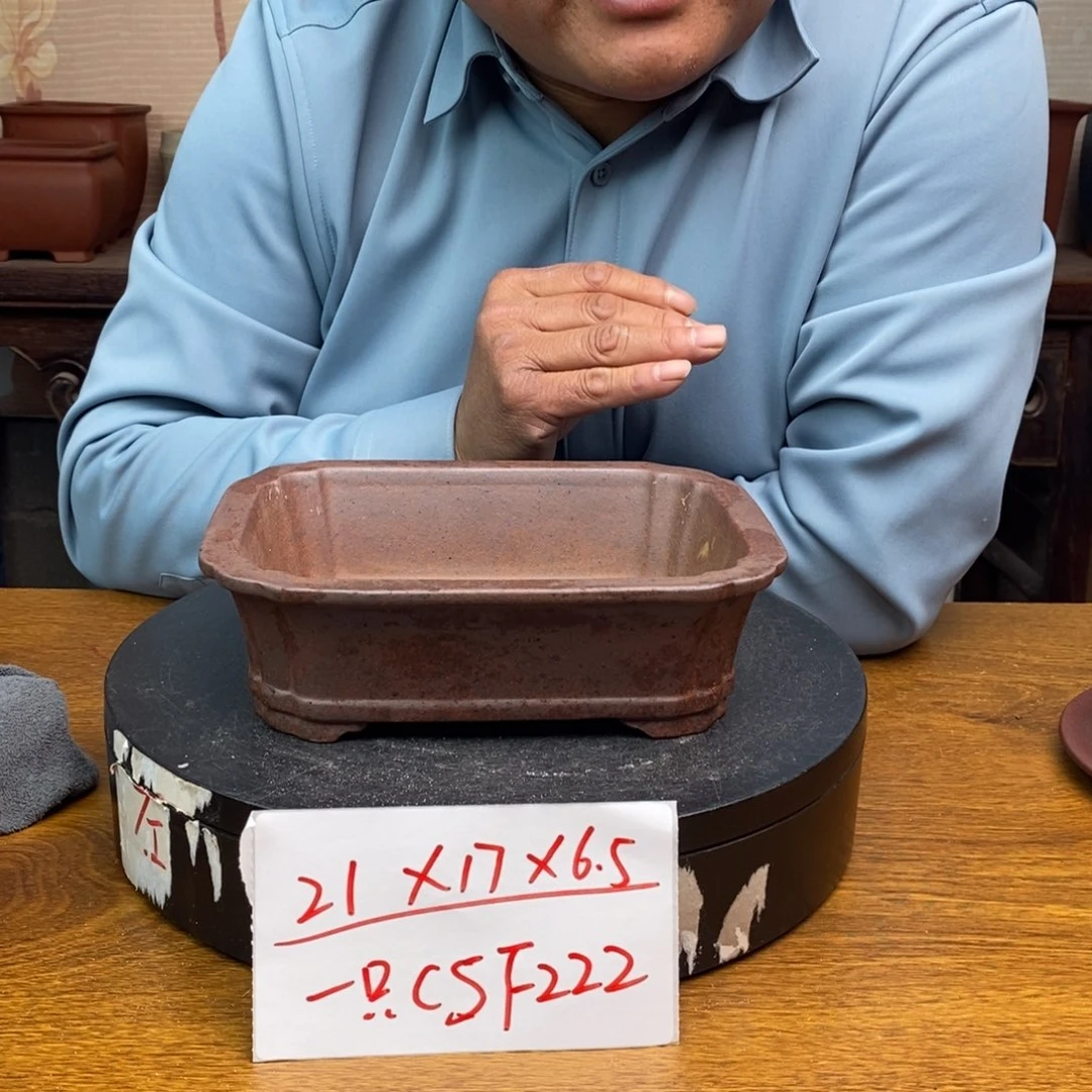 紫砂货号一只CSF222