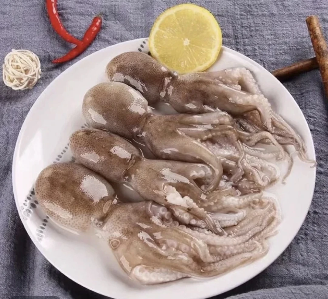 野生原浆短腿八爪鱼 每斤5-7条左右 冷冻发货