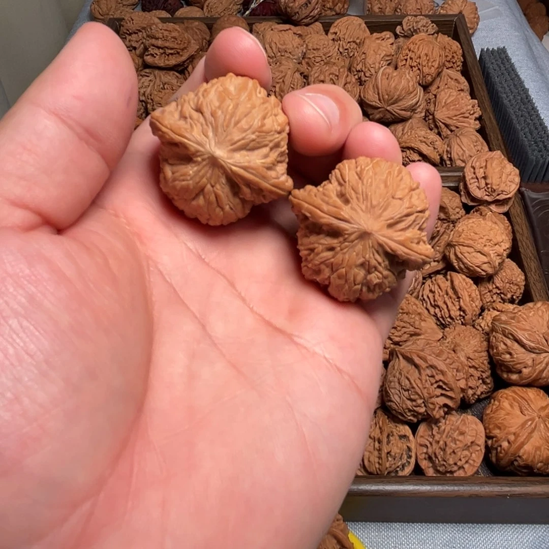 拨***了核桃核桃核桃核桃