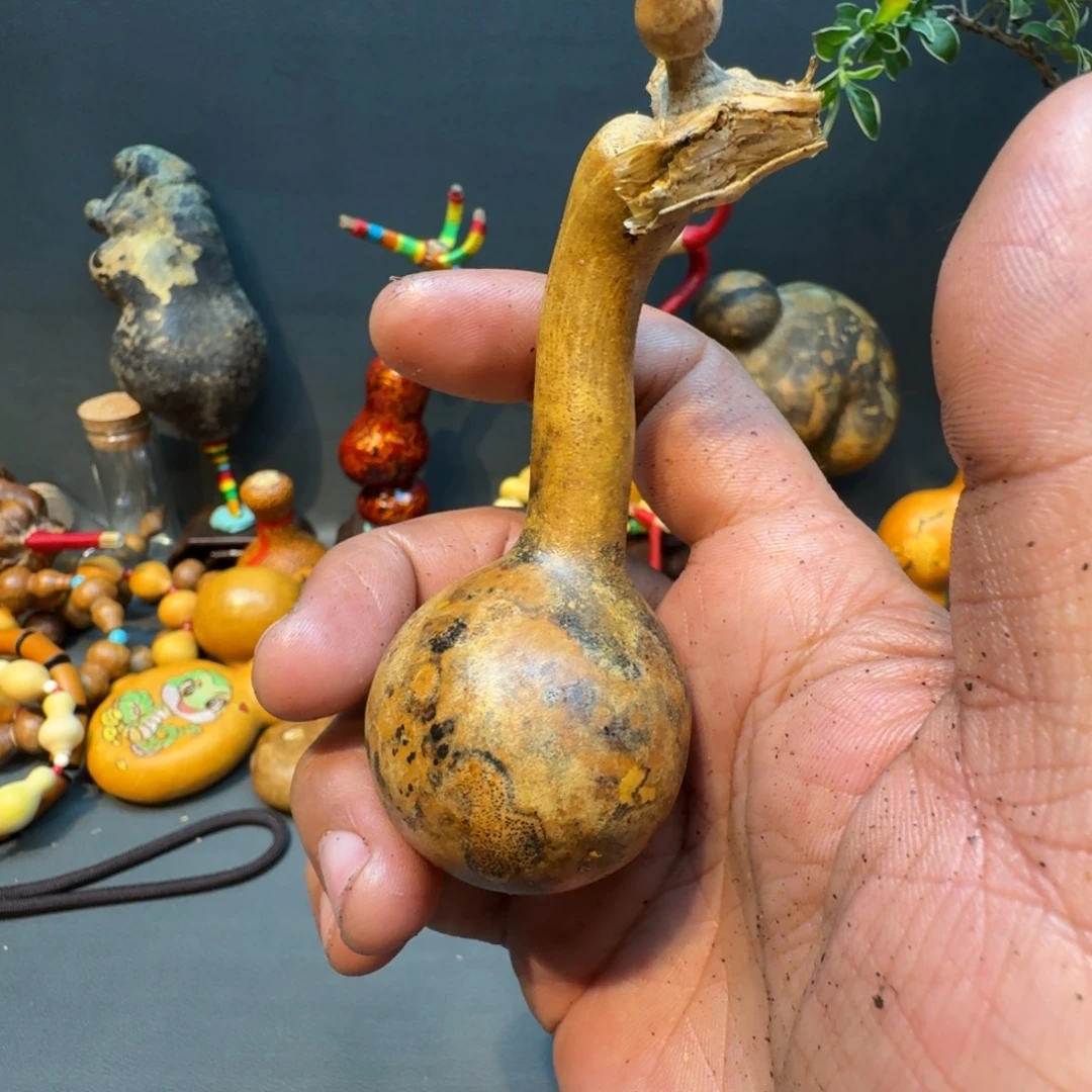 君***—嘎嘎嘎嘎嘎嘎嘎嘎嘎