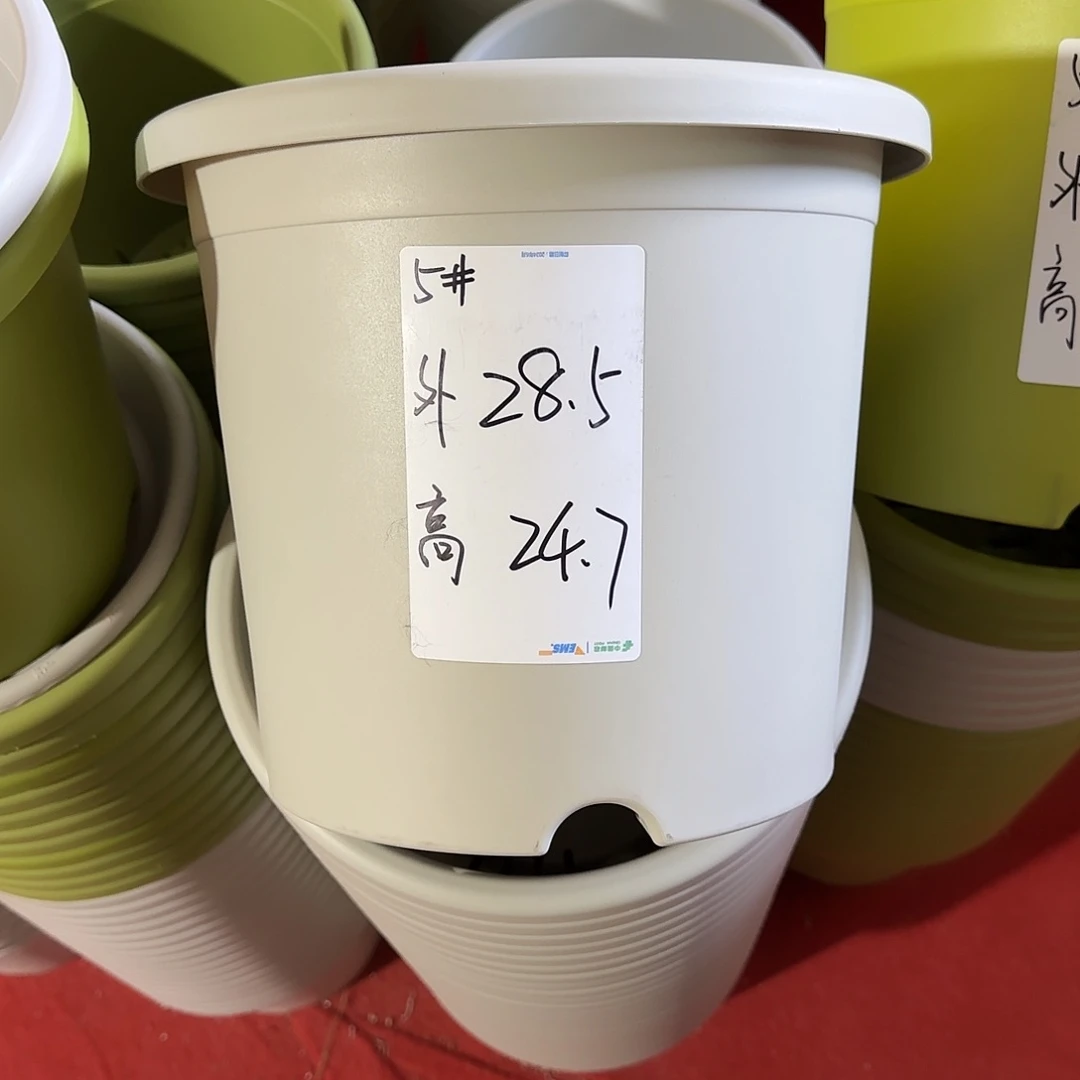 树脂微瑕5号6个带托，灰白