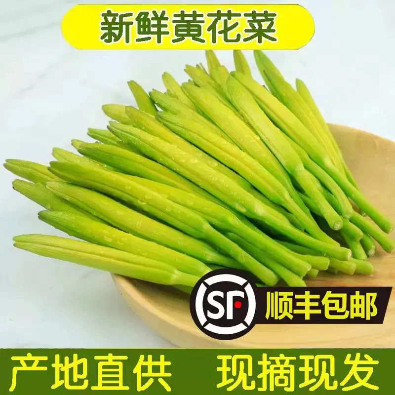 新鲜黄花菜现摘现发时令蔬菜可凉拌的农家野菜金针菜