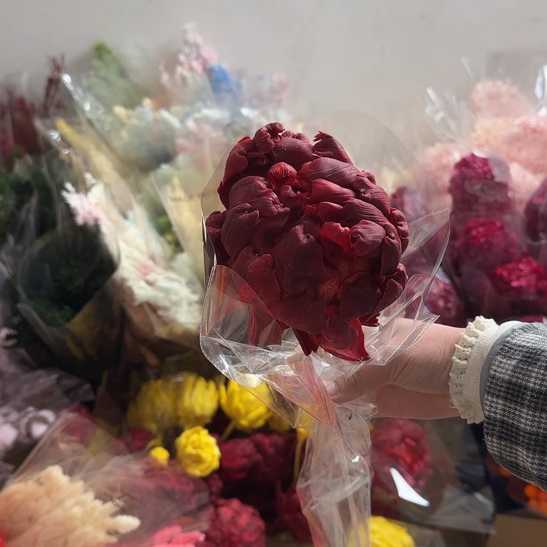 H40号暗红色洋蓟1枝