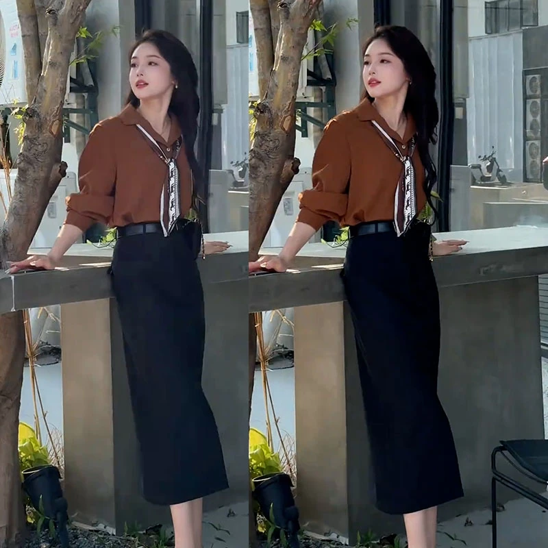 2025秋季新款设计感一整套知性风长袖衬衫女搭配休闲半身裙两件套