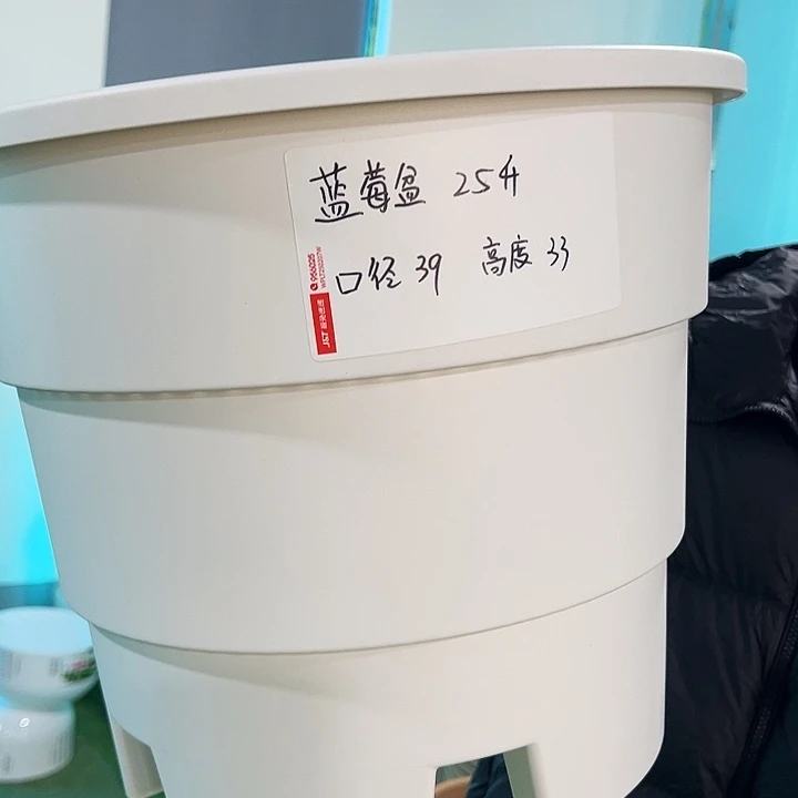 正品蓝莓盆口39高33白色无托3只