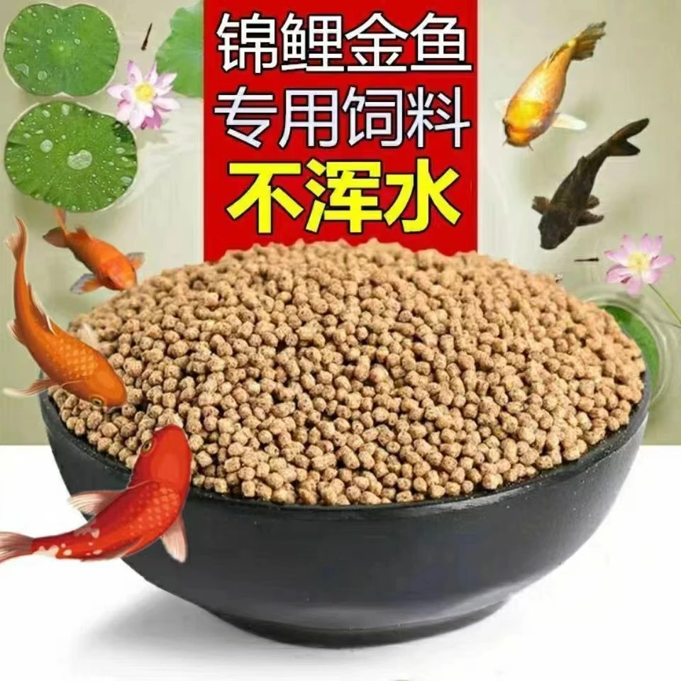 蝴蝶鲤 熊猫 锦鲤蝴蝶鲤饲料